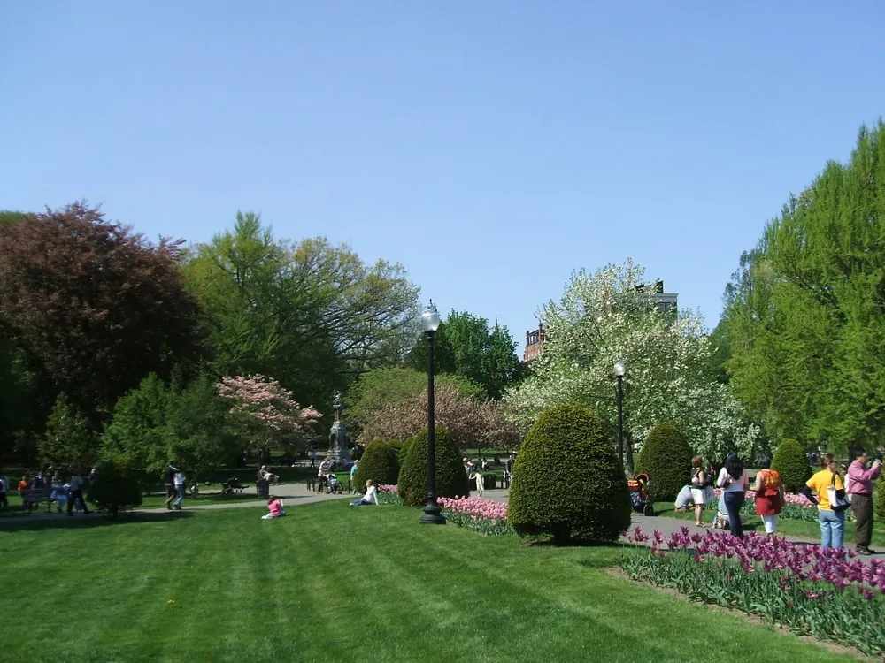 Reliable lawn mowing service in Campbell. Ca, CA - Green Grass