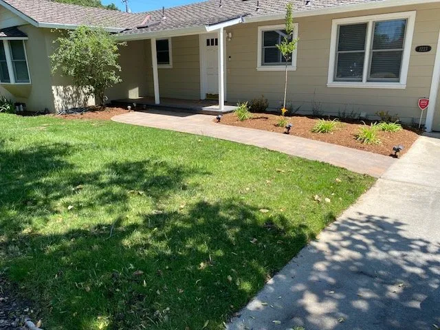 Affordable outdoor landscaping with custom design across Campbell. Ca, CA - Green Grass
