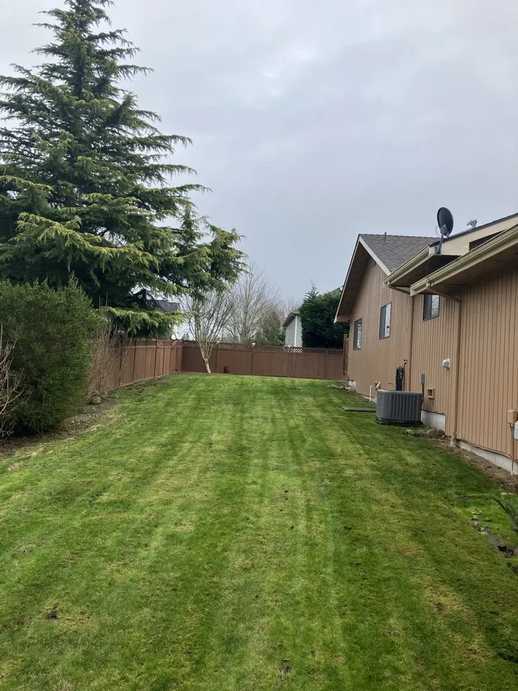 Reliable landscaping services for beautiful yards across Federal Way, WA - Green Grass Crew
