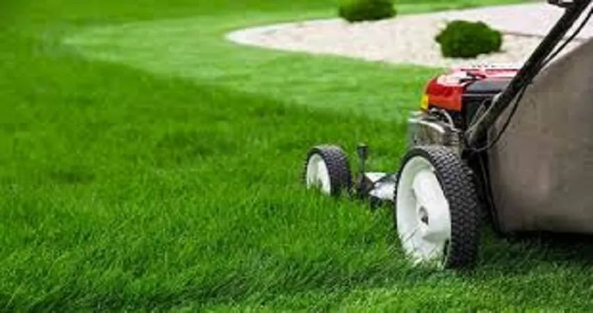 Professional lawn mowing service experts serving Caledonia, MI - Green Grass Fertilization and Pest Control