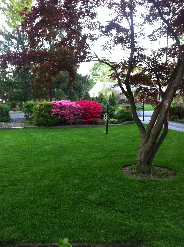 Professional landscape design in Huntington, NY by Green Grass Guy