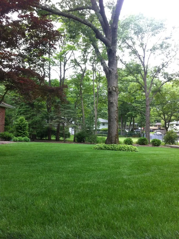 Local lawn mowing service near you in Huntington, NY by Green Grass Guy