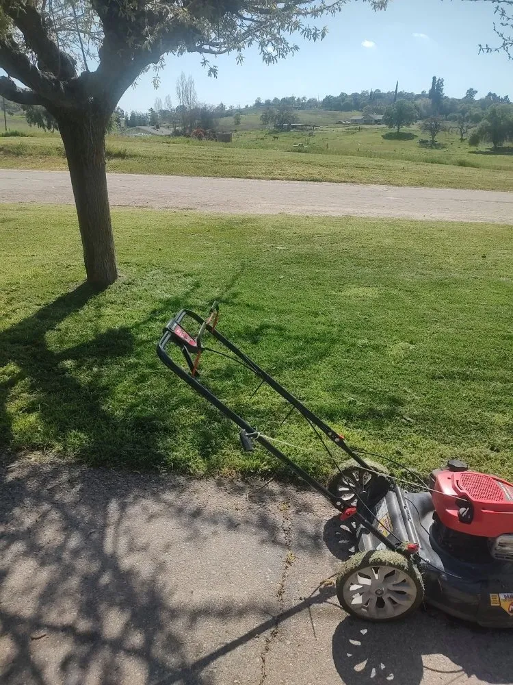 Reliable lawn mowing service in Fresno, CA by Green Grass In No Time