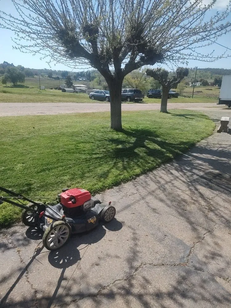 Expert landscape installation with custom design across Fresno, CA - Green Grass In No Time