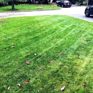 Expert landscape installation near you across Eastchester, NY - Green Grass Landscape & Design
