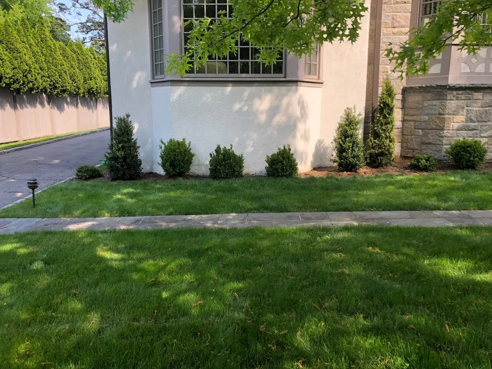 Expert lawn mowing service in Eastchester, NY by Green Grass Landscape & Design