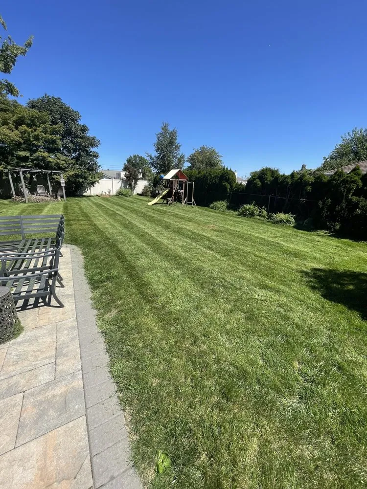 Reliable yard cleanup service experts serving Eastchester, NY - Green Grass Landscape & Design