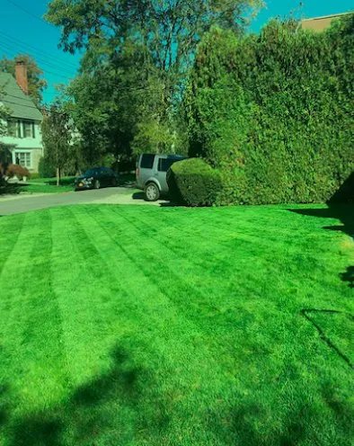 Top-rated lawn mowing service in Eastchester, NY by Green Grass Landscape & Design