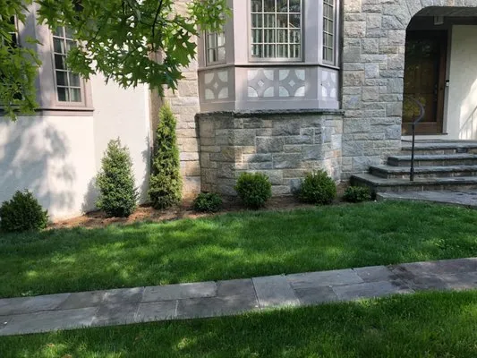 Green Grass Landscape & Design