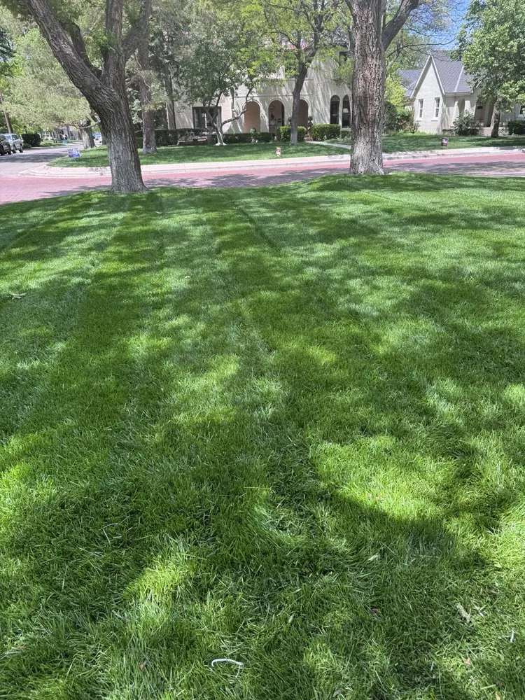 Reliable landscape installation for outdoor upgrades across Amarillo, TX - Green Grass Landscapes
