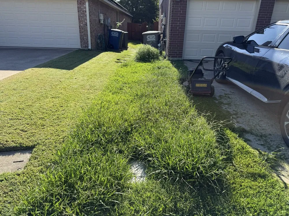 Expert landscape installation in Wylie, TX by Green Grass Landscapes