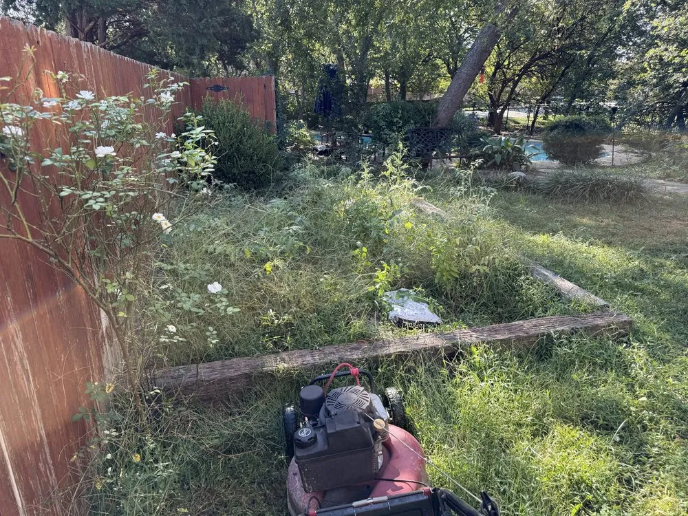 Top-rated yard cleanup service in Wylie, TX - Green Grass Landscapes