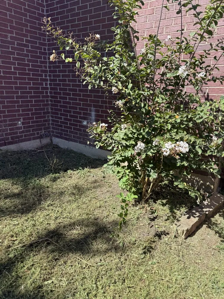 Professional outdoor landscaping in Wylie, TX by Green Grass Landscapes