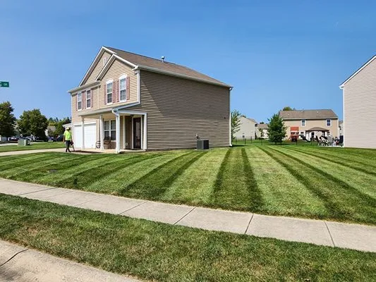 Green Grass Landscaping