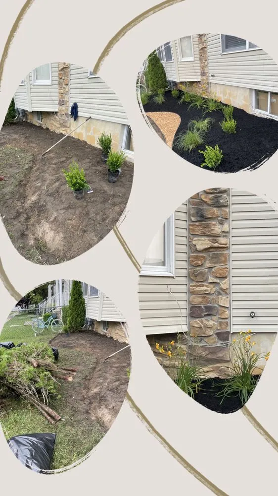 Professional yard cleanup service in Jackson Township, NJ - Green grass landscaping