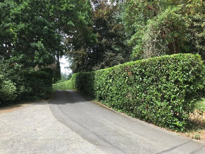 Trusted landscaping services for homes in Tacoma, WA by Green Grass Landscaping