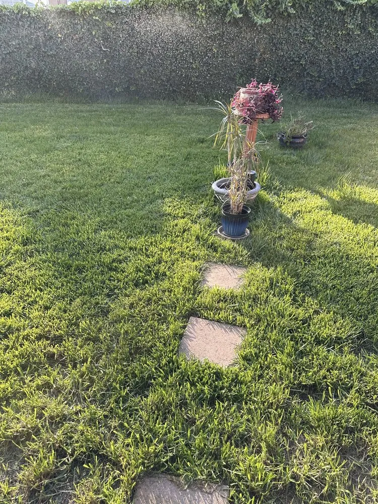 Trusted yard cleanup service experts serving Whittier, CA - Green Grass Landscaping