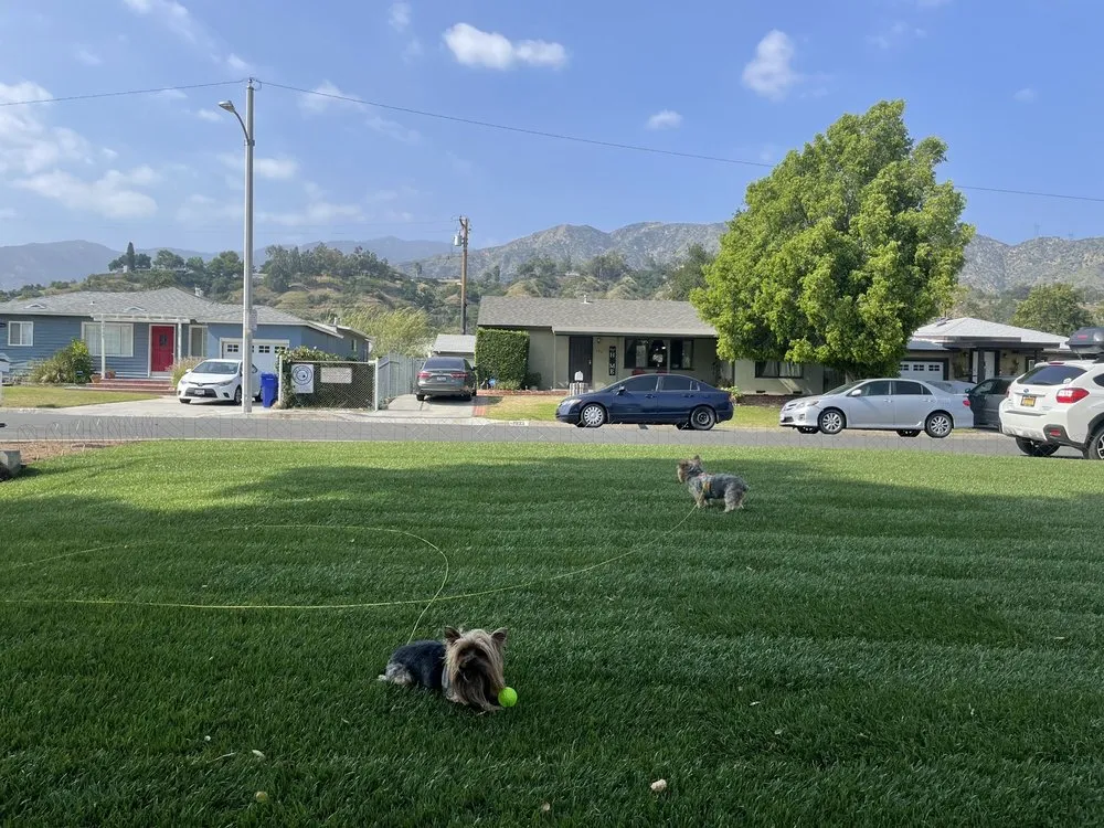 Custom yard maintenance near you across Whittier, CA - Green Grass Landscaping