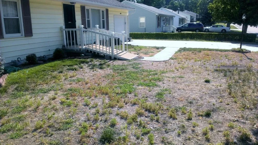 Expert landscaping services for year-round maintenance across Claycomo, MO - Green Grass Lawn & Sprinklers