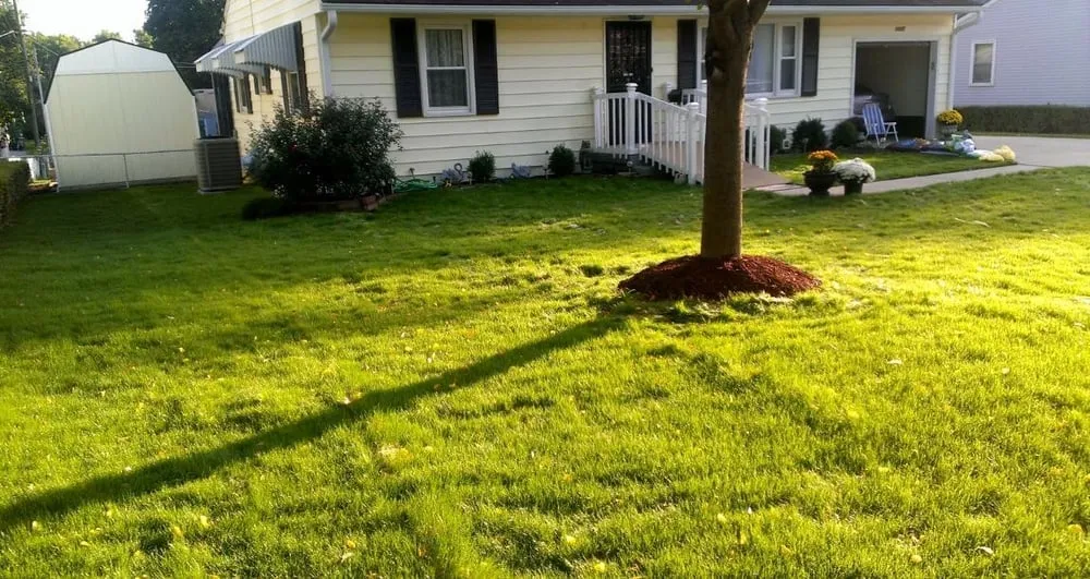 Professional lawn care service for residential properties in Claycomo, MO by Green Grass Lawn & Sprinklers