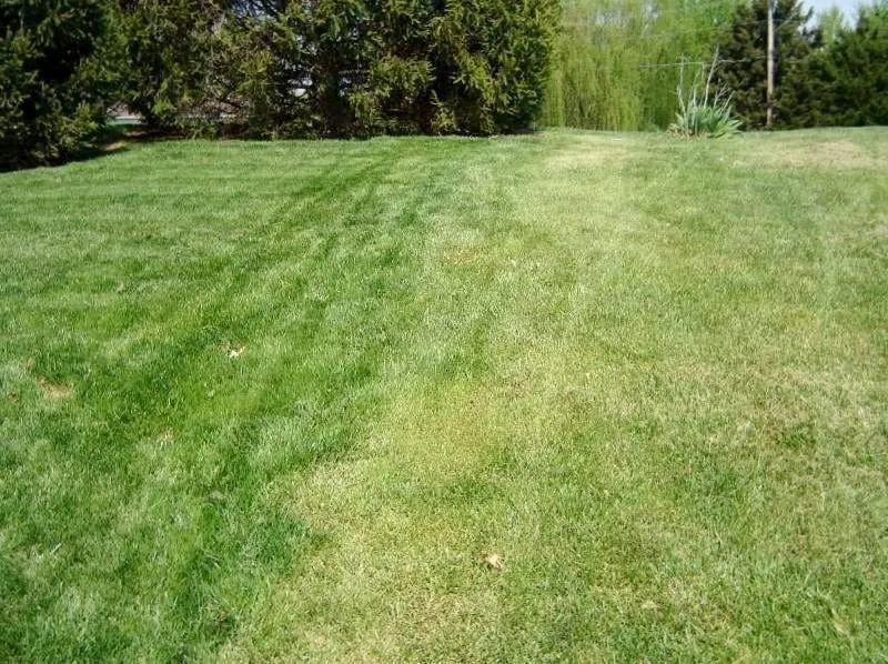 Reliable yard cleanup service for homes across Claycomo, MO - Green Grass Lawn & Sprinklers