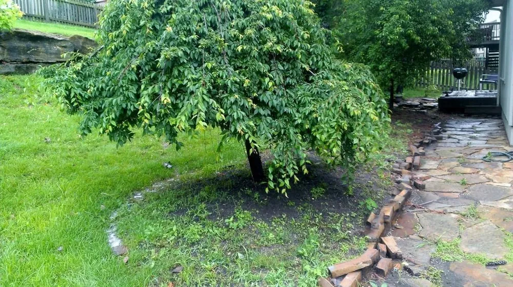 Reliable landscape design experts serving Claycomo, MO - Green Grass Lawn & Sprinklers