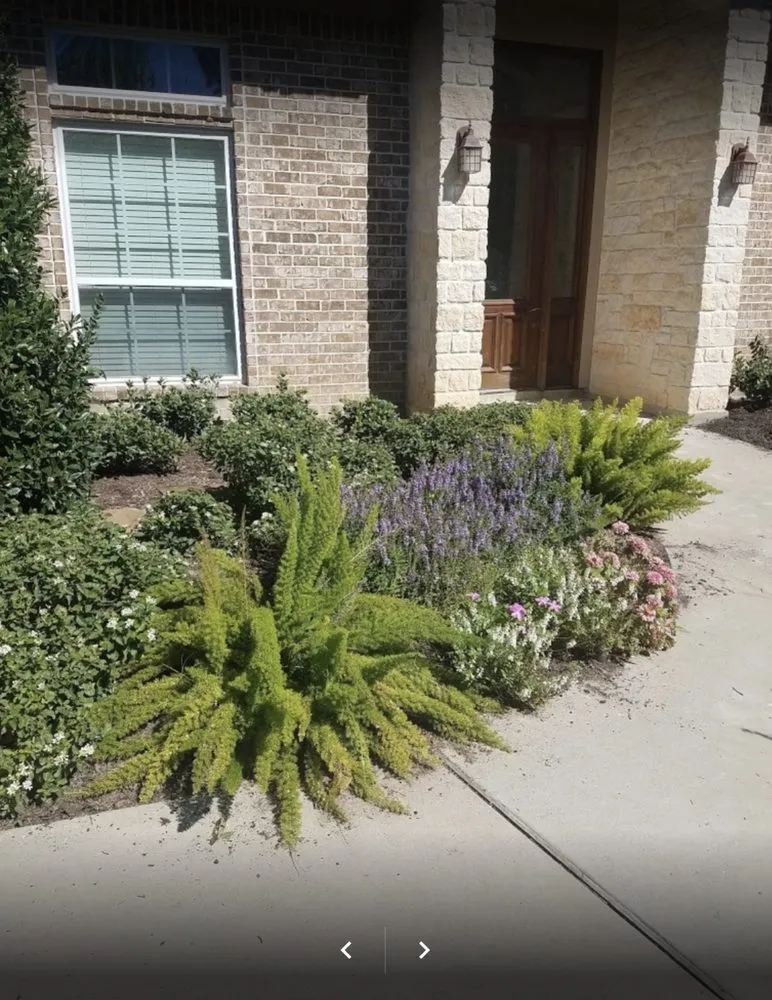 Affordable landscaping services experts serving Katy, TX - Green Grass Lawn Care & Landscaping