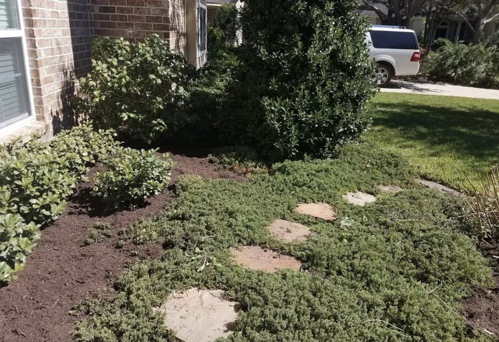 Affordable lawn care service for beautiful yards in Katy, TX by Green Grass Lawn Care & Landscaping