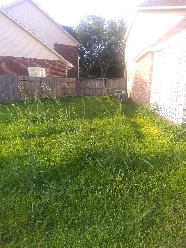 Expert lawn mowing service for year-round maintenance across Katy, TX - Green Grass Lawn Care & Landscaping