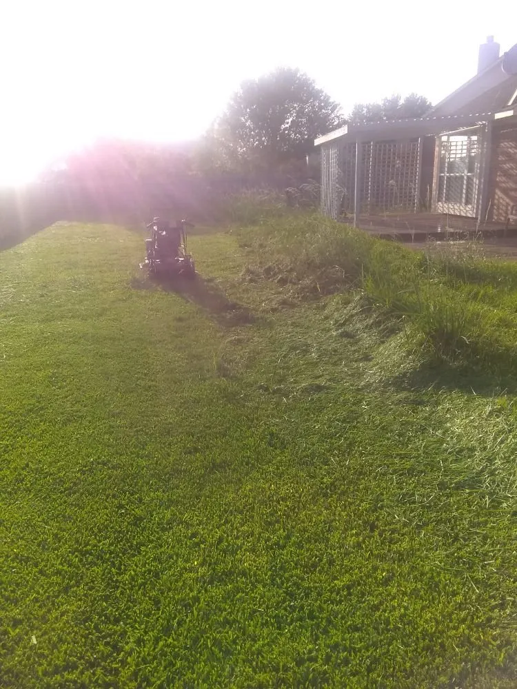 Top-rated yard maintenance in Katy, TX by Green Grass Lawn Care & Landscaping