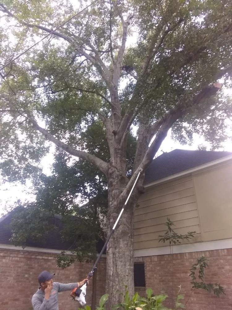 Affordable landscaping services in Katy, TX by Green Grass Lawn Care & Landscaping