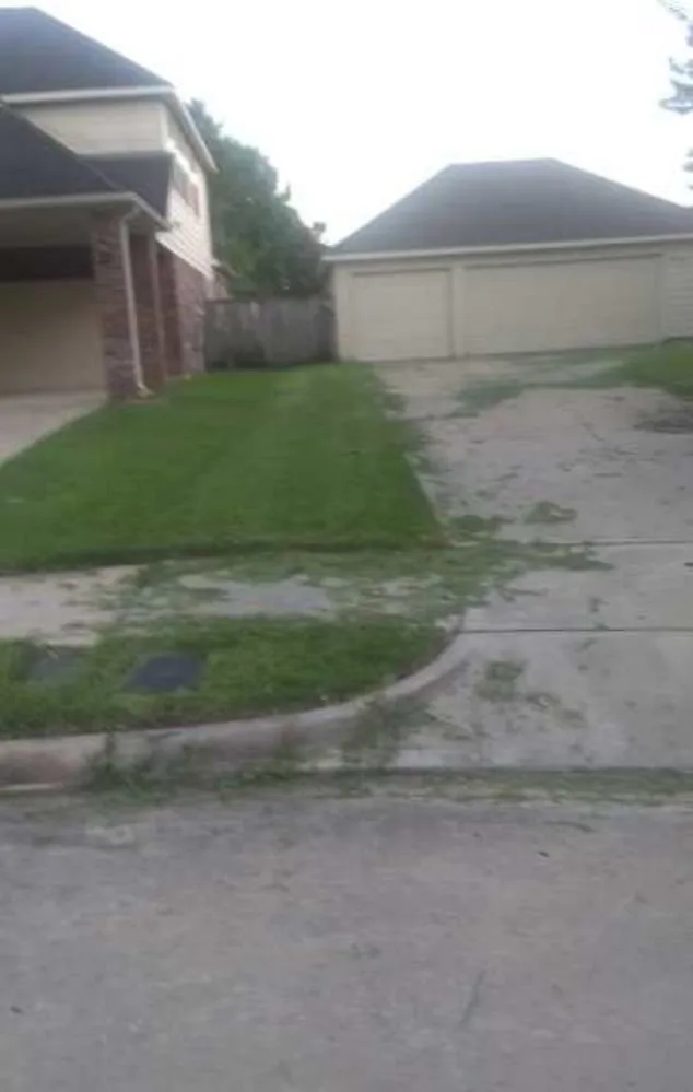 Reliable landscape design for year-round maintenance across Katy, TX - Green Grass Lawn Care & Landscaping