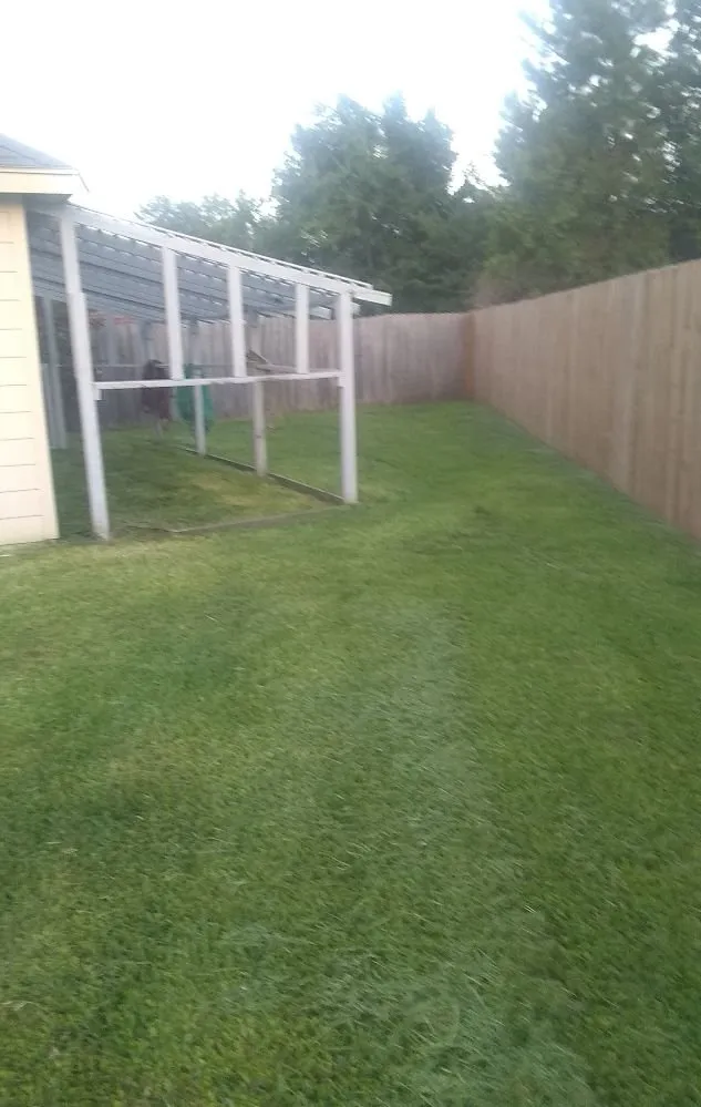 Local outdoor landscaping in Katy, TX by Green Grass Lawn Care & Landscaping