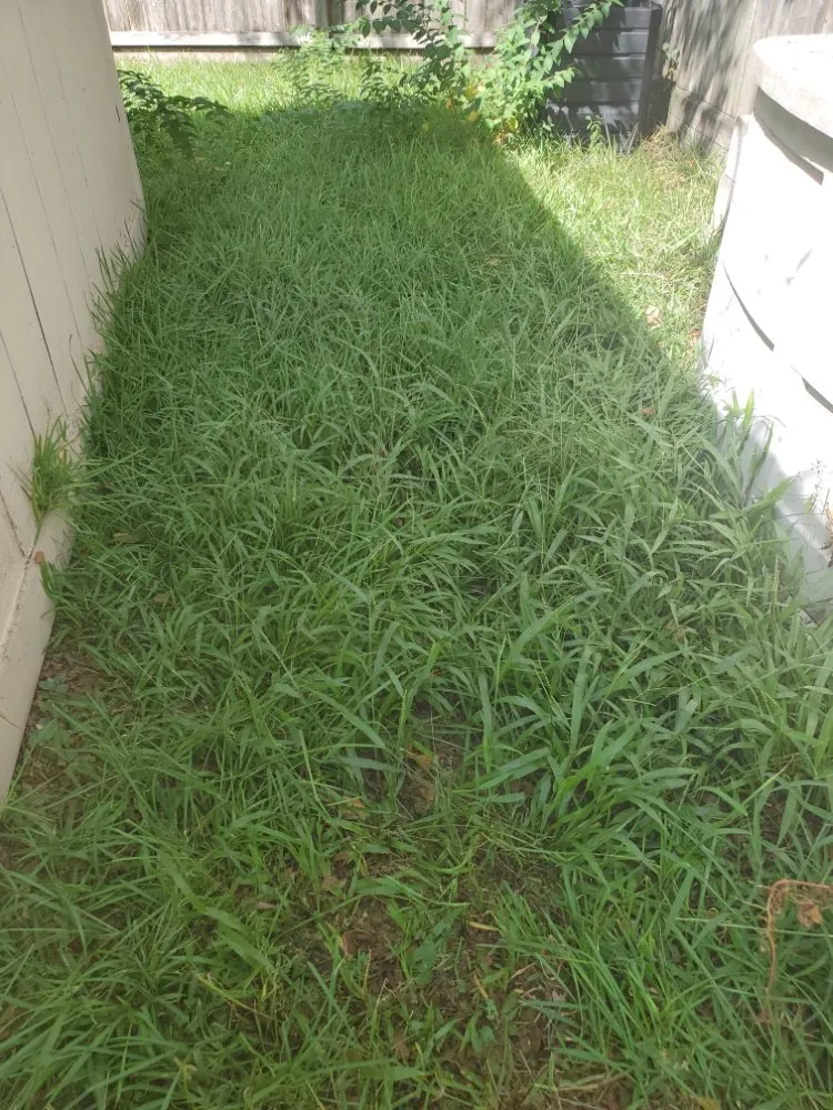 Custom garden landscaping in Katy, TX by Green Grass Lawn Care & Landscaping