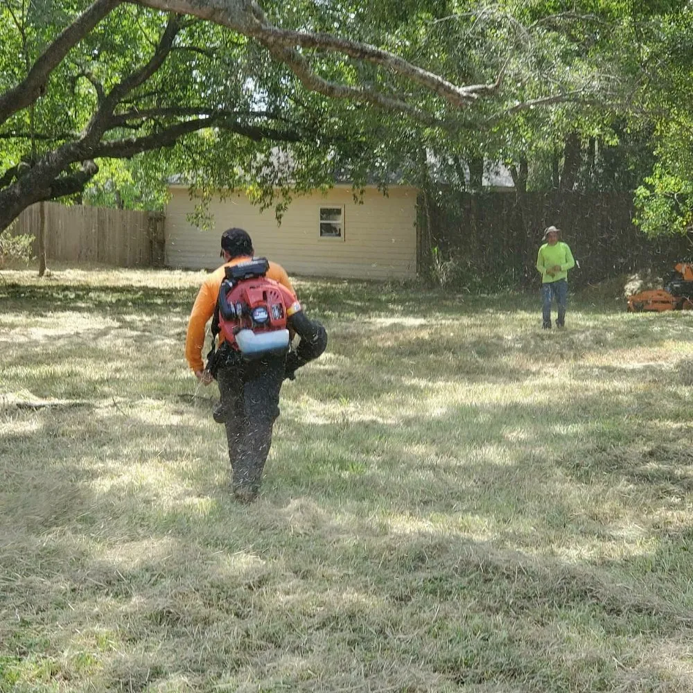 Reliable lawn mowing service experts serving Katy, TX - Green Grass Lawn Care & Landscaping