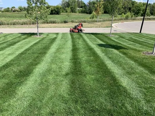 Green Grass Lawn Care Logo