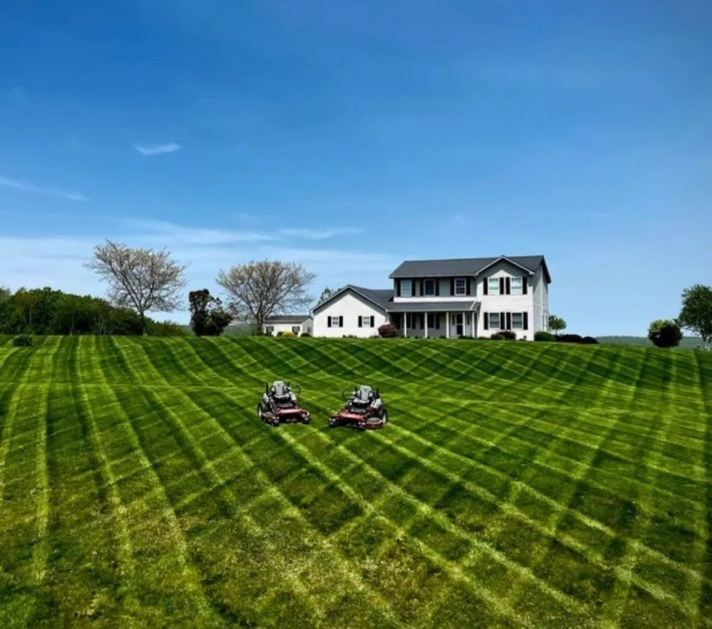 Professional garden landscaping for outdoor upgrades across Saint Louis, MO - Green Grass Lawn Mowing
