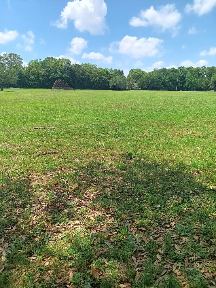 Expert lawn care service in Montgomery, AL - Green Grass Lawn Service