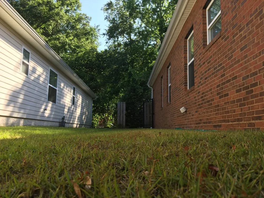 Top-rated lawn care service in Tallahassee, FL by Green Grass Lawn Service