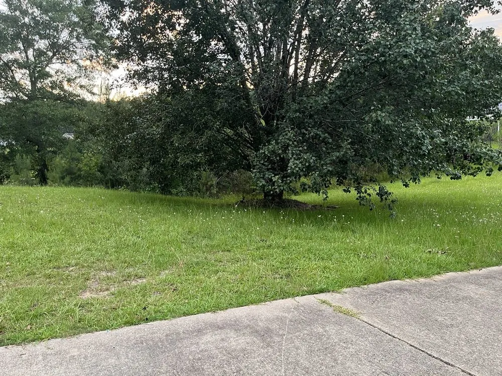 Reliable garden landscaping in Columbus, GA - Green Grass Lawncare