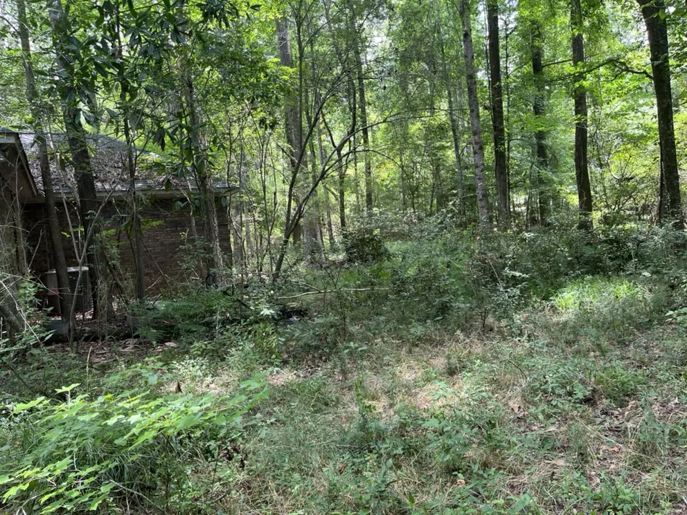 Affordable lawn mowing service in Columbus, GA by Green Grass Lawncare