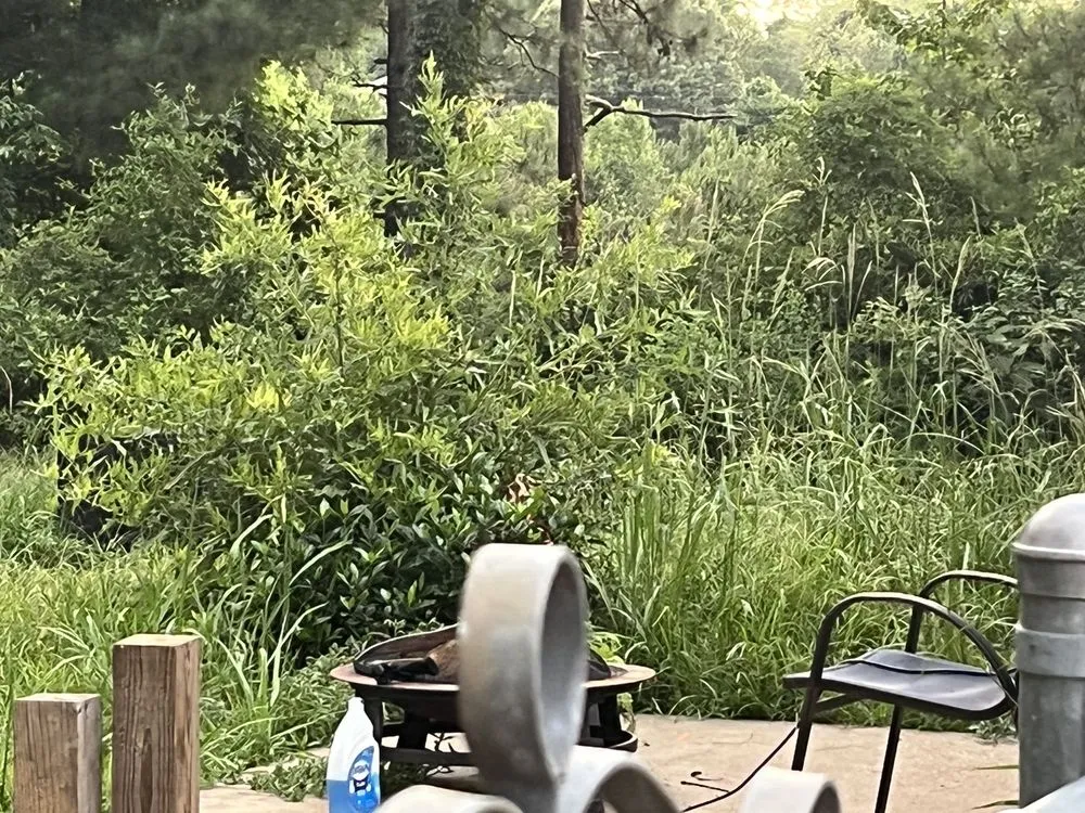 Trusted landscaping services experts serving Columbus, GA - Green Grass Lawncare