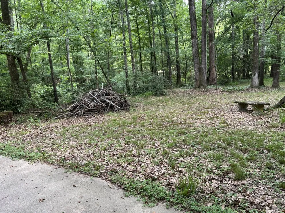 Expert yard maintenance for year-round maintenance across Columbus, GA - Green Grass Lawncare