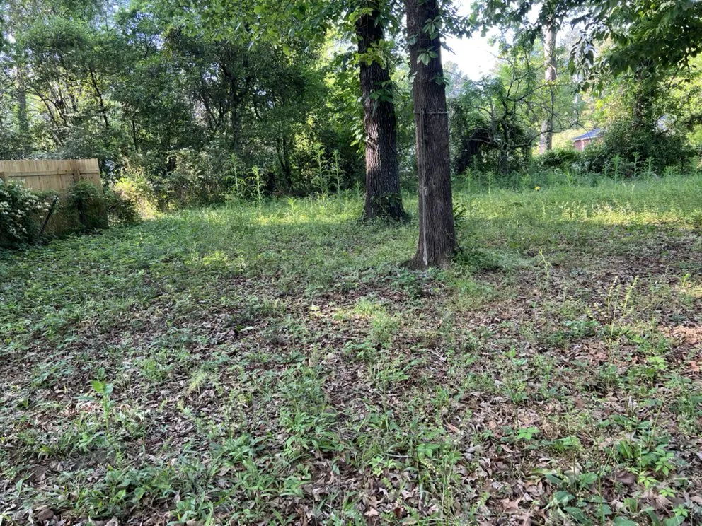 Trusted residential landscaping experts serving Columbus, GA - Green Grass Lawncare