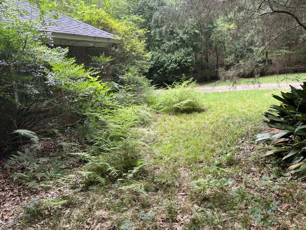 Top-rated yard maintenance experts serving Columbus, GA - Green Grass Lawncare