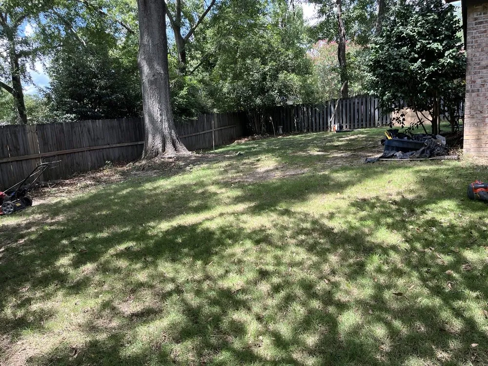 Professional outdoor landscaping in Columbus, GA - Green Grass Lawncare