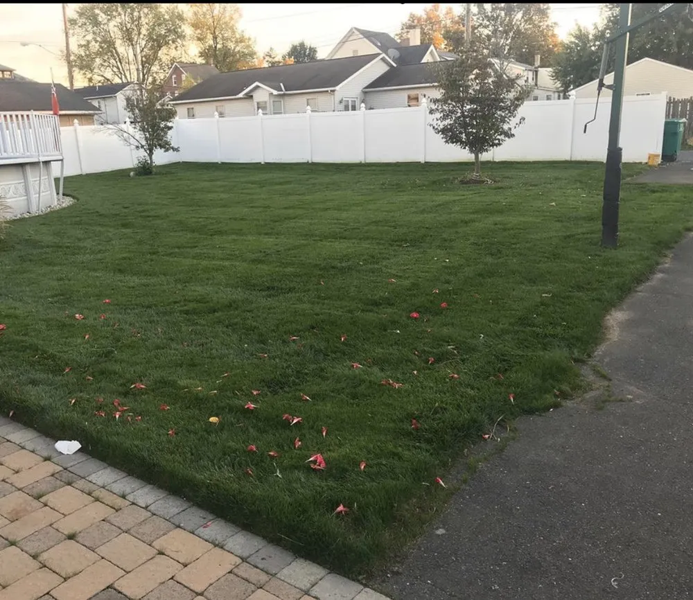 Top-rated lawn care service with custom design across Telford, PA - Green Grass Lawncare