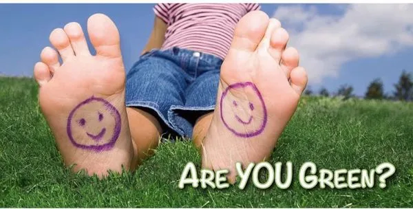 Green Grass Lawncare