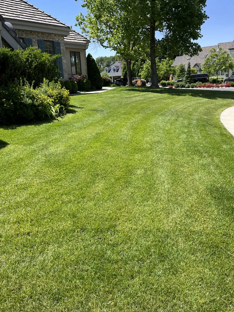 Trusted lawn care service experts serving Orem, UT - Green Grass Maintenance
