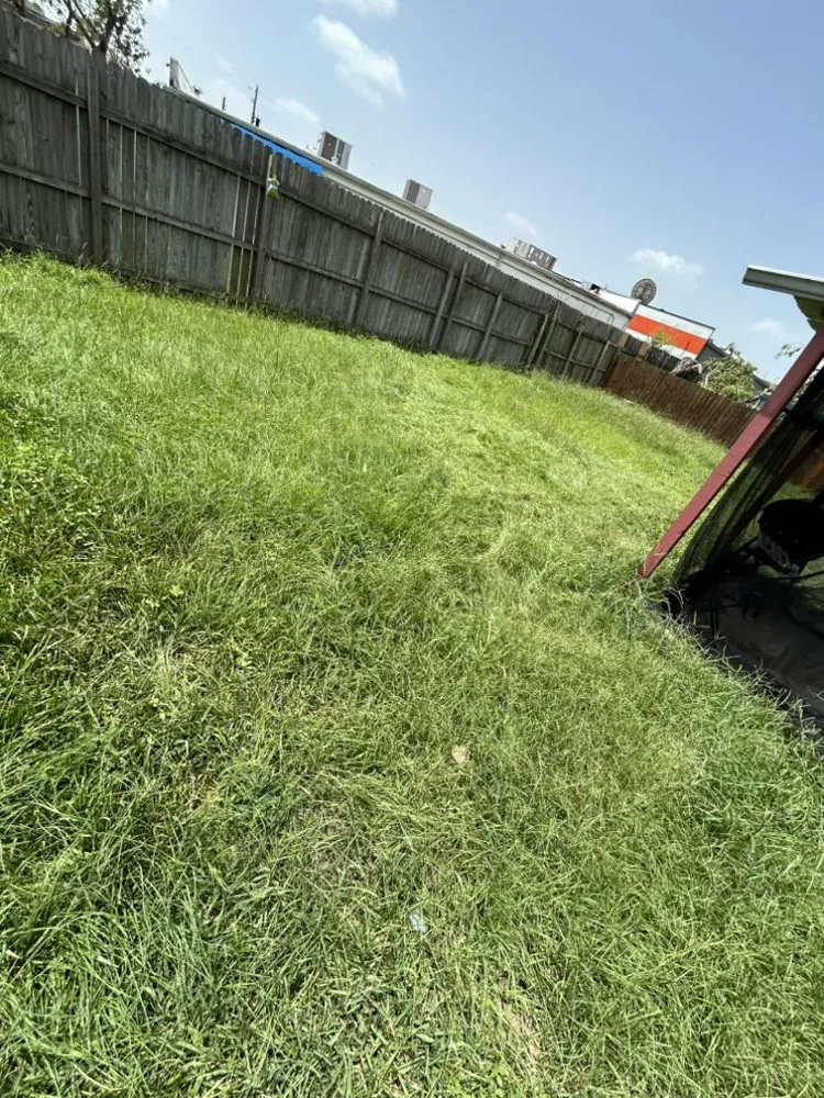 Reliable residential landscaping experts serving Channelview, TX - Green Grass mowing